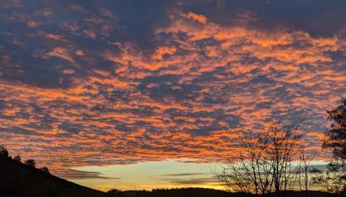 Ferienwohnung Bahr - Foto 4