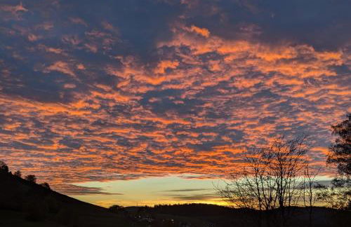 Ferienwohnung Bahr - Foto 4