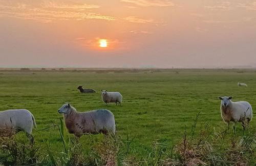 Ferienhof Landfrieden - Foto 12