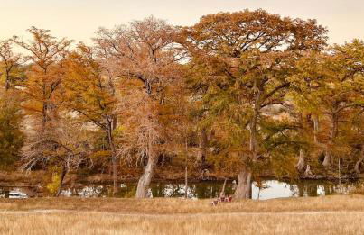 FAMILY RIVER RETREAT! PRIVATE MEDINA RIVER ACCESs! - Foto 11