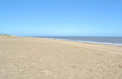 Sea Shells - Foto 11