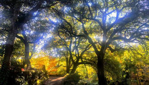 El rinconcito - Foto 2