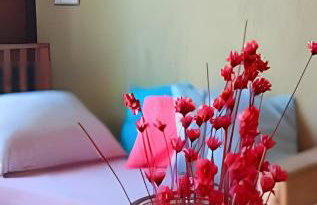 Chalé Primavera Rosa com piscina - Foto 30