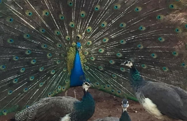 The Cradle Rest - Foto 43