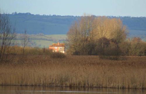 No 96 Chapel Lane - Self Contained Cottage In The Heart Of Butleigh - Photo 45