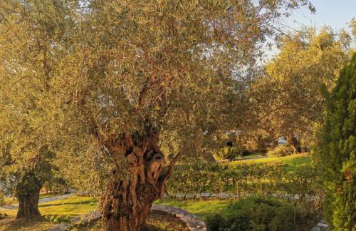 Saint Andrews Bay - Foto 34