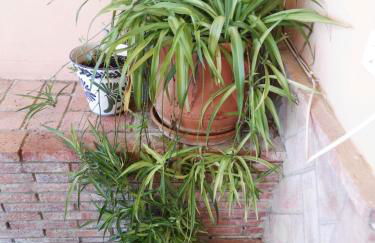 Casa Rural Orégano - Foto 12