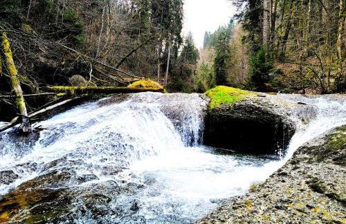 5Sterne Ferienwohnung im Fachwerk mit Bergblick in Alleinlage und großem Garten, Infrarotkabine - Foto 33