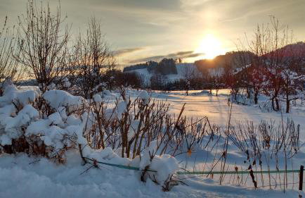 Apartament w Bieszczadach - Photo 37