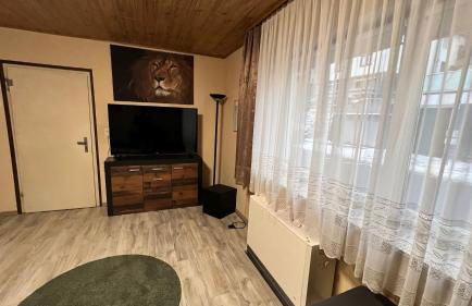 FeWo, Monteurwohnung Pauline - Foto 4