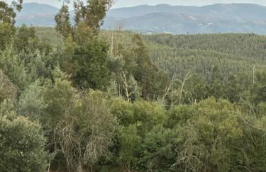 Quinta Do Pereiro - Foto 23