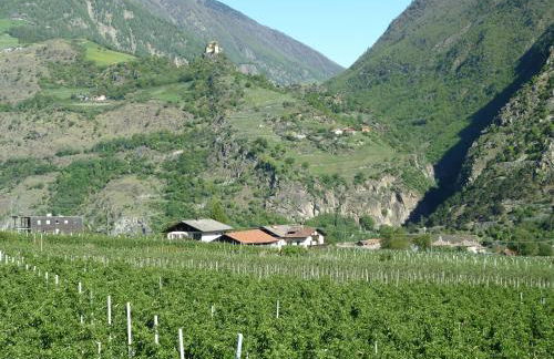 Residence Hochwart ***S - Photo 34