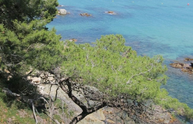 Apto. St Antoni Montseny Torrevalentina - Foto 21