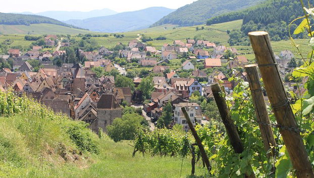 Elsässische Weinstraße Halbtagestour in kleiner Gruppe mit Verkostung ab Straßburg - Foto 3
