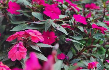 Rancho Comancho - Foto 46