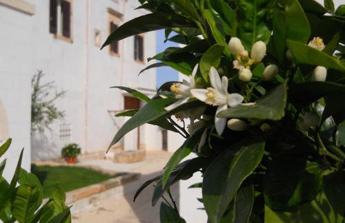 Agriturismo Masseria De Michele - Photo 108