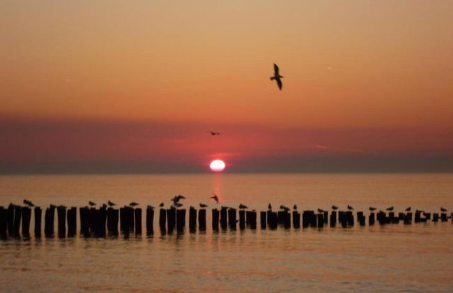 Lovely Holiday Home on Vlissingen's Beach - Photo 24