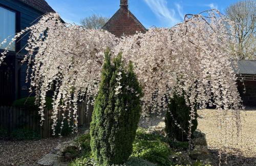 The Swallows Rest, Avebury - Foto 38