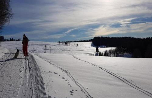 Einladende Ferienwohnung mit Garten - Foto 58