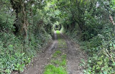 Cubert Nr Newquay Traditional 16th century cottage - Foto 39