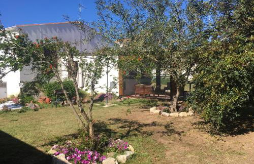 Residence Cort'e Accas - Foto 29