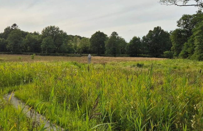 4 Person Holiday Home in Hovborg-by Traum - Foto 7