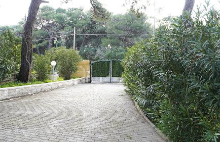 Villa Ofelia - Casa Vacanze in Puglia - Photo 29