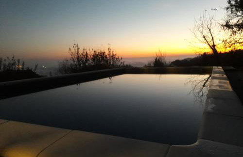 Iva's Place - Foto 6