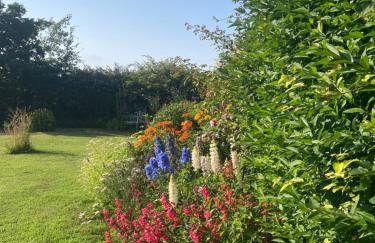 Clonaslee House - Foto 43