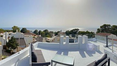 Casa Palm Tree - Photo 3