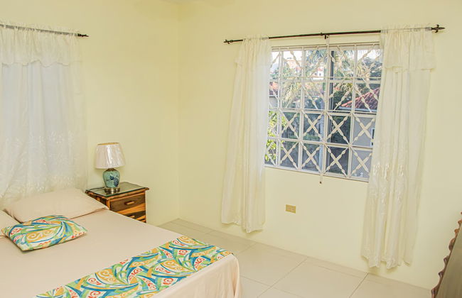 CARNATION 156 - Foto 11