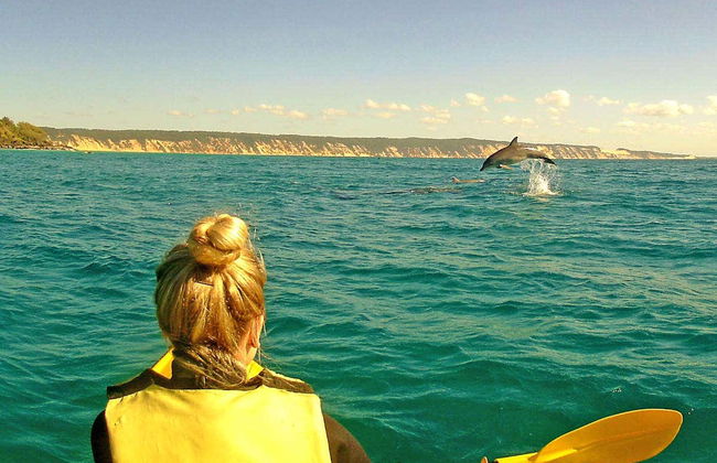 Tour del Parco nazionale Great Sandy in kayak - Foto 4