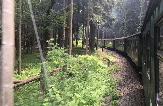 Ferienwohnungen Familie Junge - Foto 67