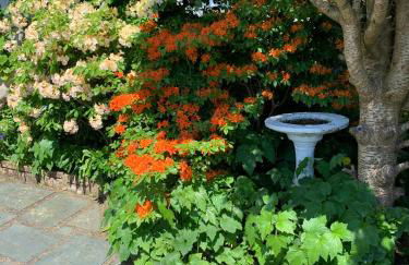 Kents Bank Holiday - Pet Friendly with Bay Views - Foto 72