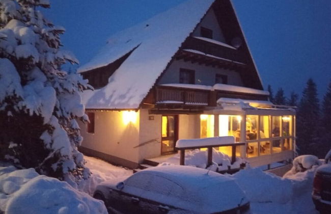 Pine Cones in the Haslehaus - Foto 33