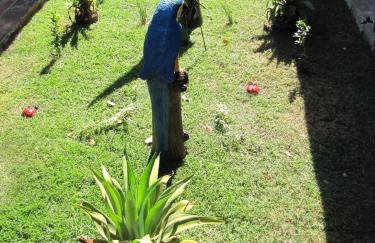 Hotel Fazenda Arara Azul - Foto 17