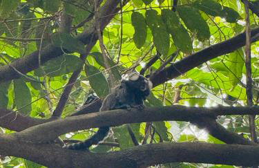 Leblon Vidigal Ocean Suites - Foto 7