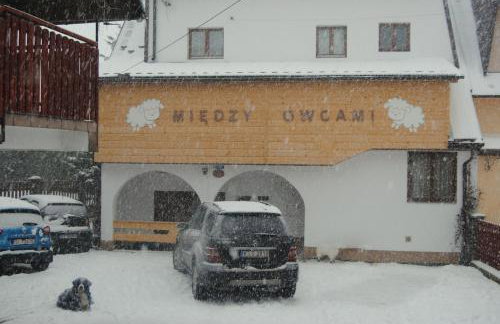 Miedzy Owcami Meeee - Foto 34