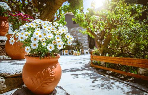 Ellafos Traditional Living-Elafonisi Couples Retreat - Foto 113