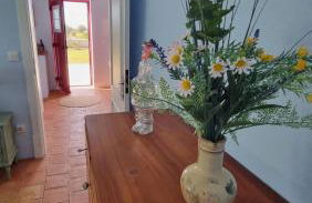 Pátio da Eira, Country House - Foto 25