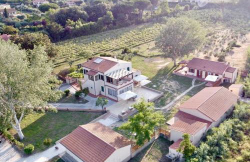 Podere Il Ritorno - Foto 29