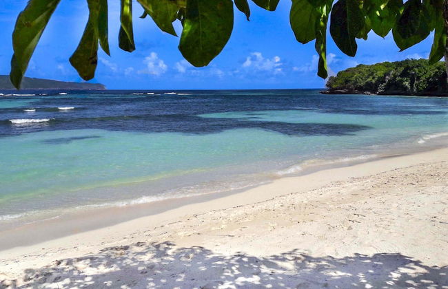 Las Mariposas - Foto 55