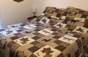 Moose Riverside Bungalow 3BR Home Old Forge NY - Foto 11