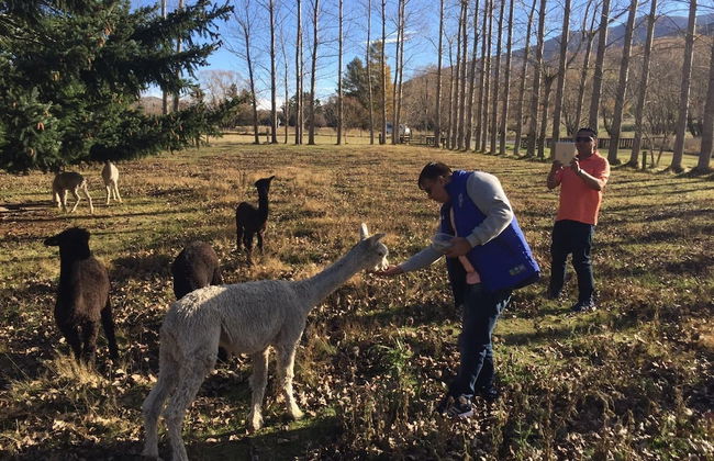 Galaxy Lounge - Foto 19