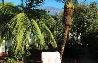 Finca La Punta - Foto 73