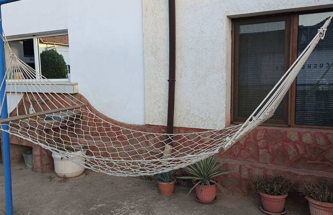 ESCUS HORSES - Foto 24