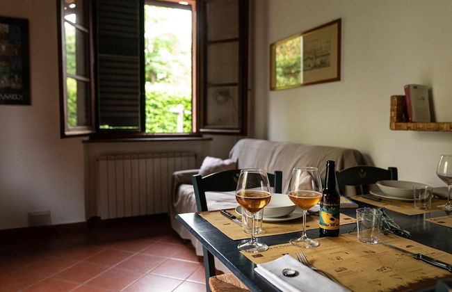 Bio Tenuta di Paganico - I Roggeti - Foto 67