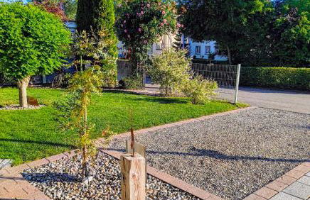 Haus Auryn - Photo 27