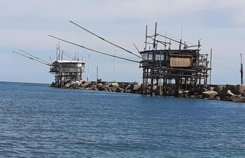 La Magnolia a 500mt dal mare - Foto 30