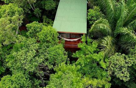 La Luciole Ecolodge - Foto 15